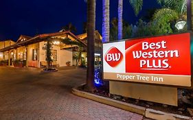 Best Western Plus Pepper Tree Inn Santa Barbara